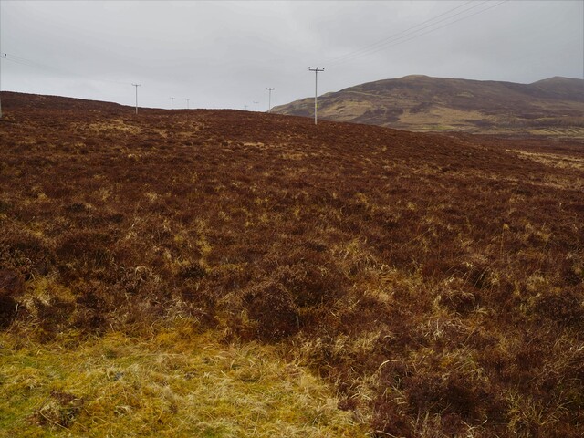 EHG5807_04.JPG