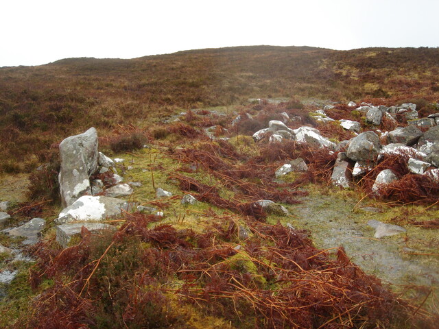 MHG62597_01.JPG