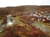 MHG62597_01.JPG