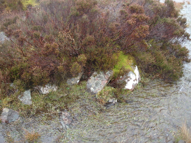 MHG62598_01.JPG
