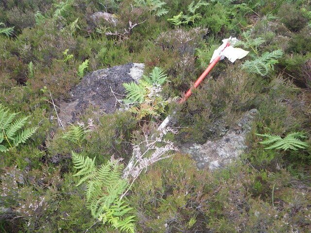 MHG26120_01.JPG