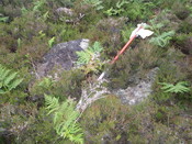 MHG26120_01.JPG