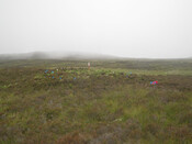 MHG26120_02.jpg