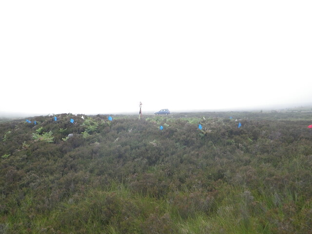 MHG26120_03.JPG