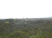MHG26120_03.JPG