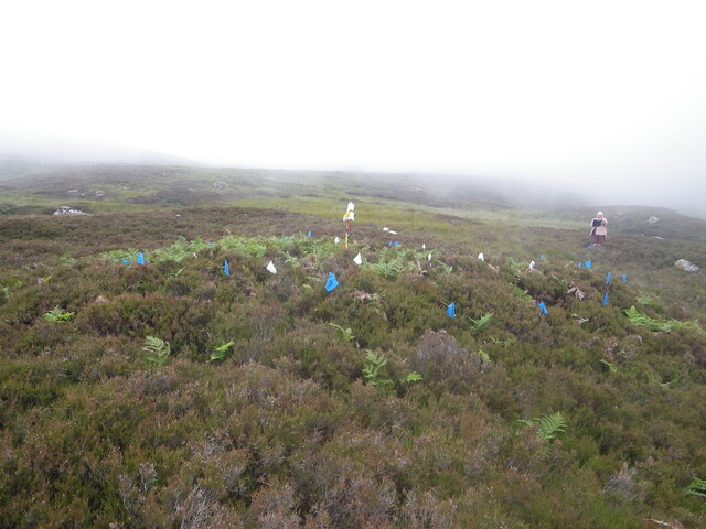 MHG26120_04.JPG