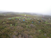 MHG26120_04.JPG
