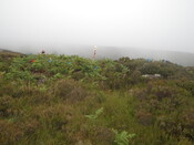 MHG26120_05.JPG