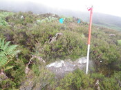 MHG26120_06.JPG