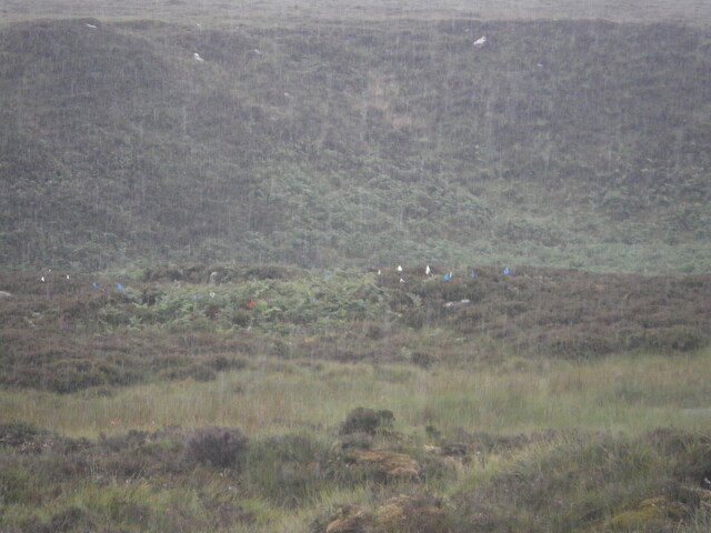 MHG26120_07.JPG