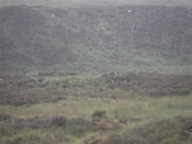 MHG26120_07.JPG