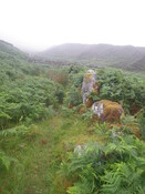 MHG26120_09.JPG