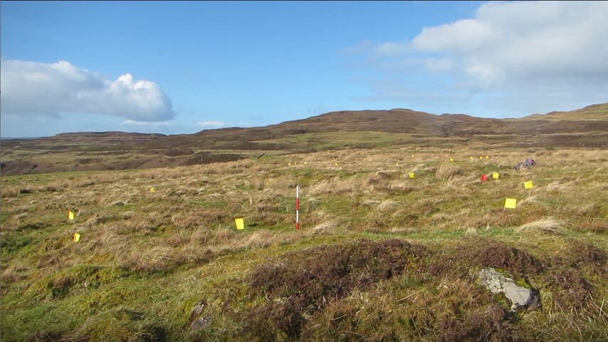 MHG62605_01.jpg