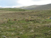 MHG62607_01.JPG