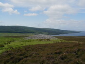 NC50NE0016HAW3.jpg