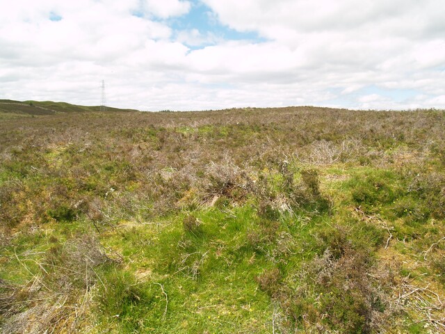 NC50NE0020 - 258840 907257 - Hut Circle 01.JPG