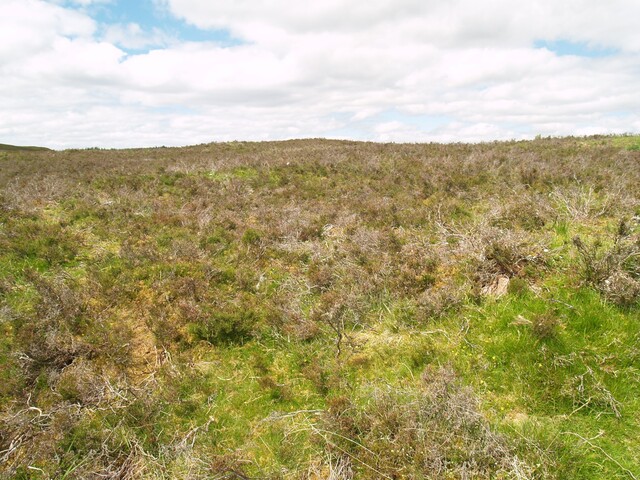 NC50NE0020 - 258840 907257 - Hut Circle 02.JPG