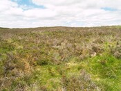 NC50NE0020 - 258840 907257 - Hut Circle 02.JPG