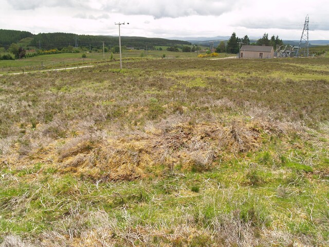 NC50NE0020 - 258863 907234 - Mound or CC.JPG