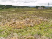 NC50NE0020 - 258863 907234 - Mound or CC.JPG
