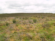 NC50NE0020 - 258869 907259 - Hut Circle 01.JPG