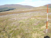 EHG5853_02.JPG