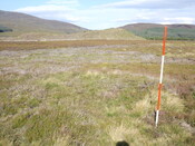 EHG5853_03.JPG