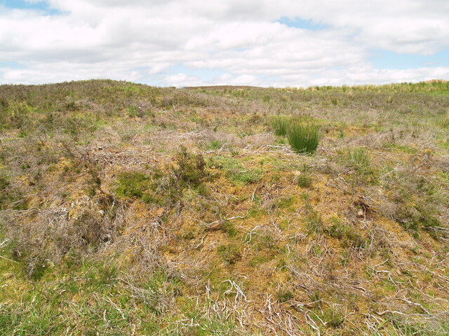 NC50NE0020 - 258869 907259 - Hut Circle 02.JPG