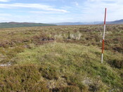 EHG5853_14.JPG