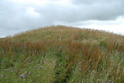 MHG978_01.JPG