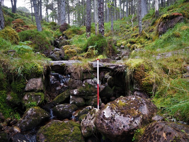EHG5905_05.JPG