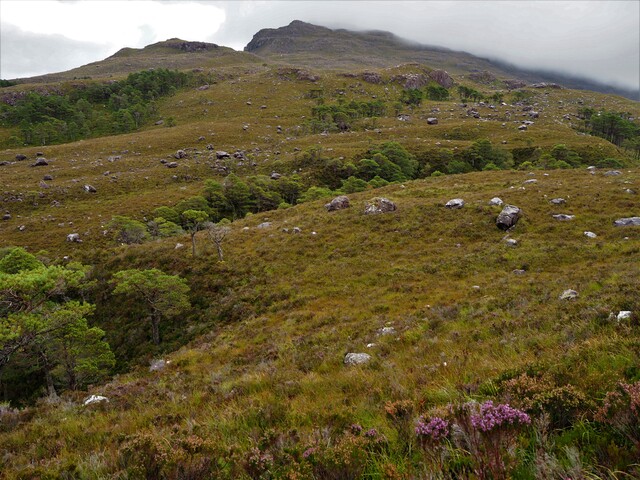 EHG5905_07.JPG