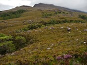 EHG5905_07.JPG