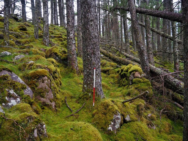 EHG5905_17.JPG