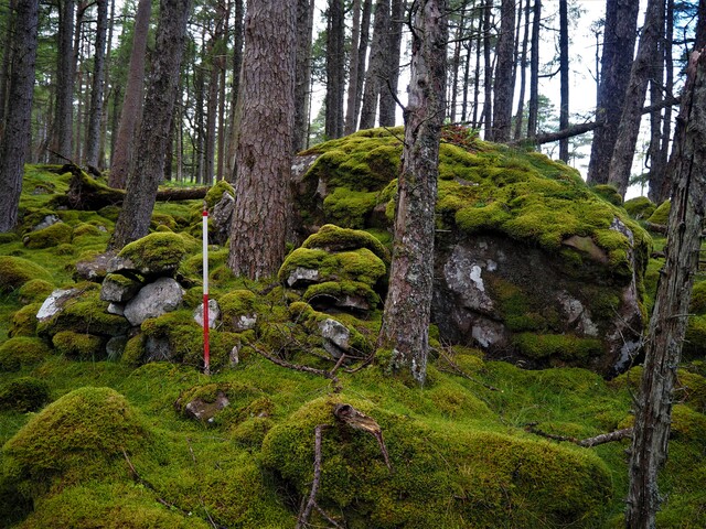 EHG5905_18.JPG