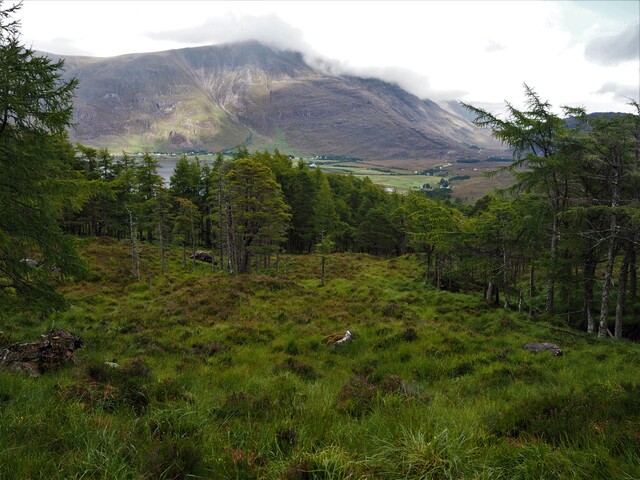 EHG5905_19.JPG