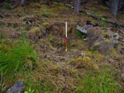 EHG5905_26.JPG