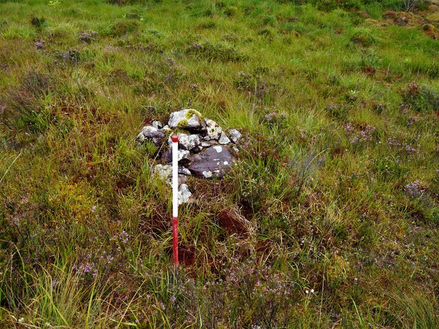 EHG5905_27.JPG