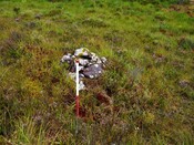 EHG5905_27.JPG