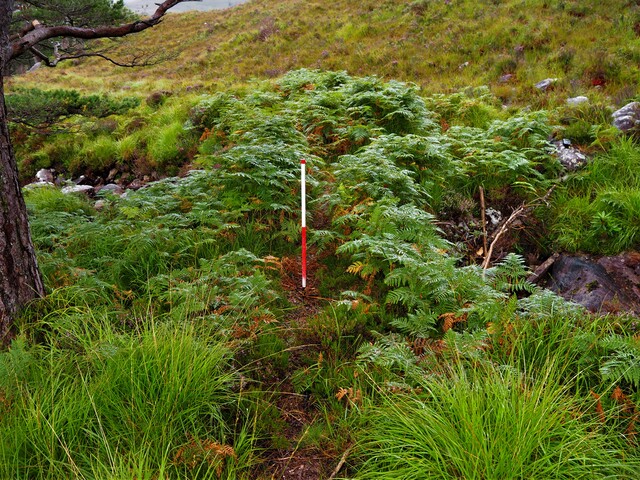 EHG5905_28.JPG