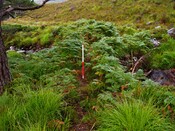 EHG5905_28.JPG