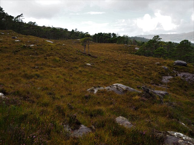 EHG5905_29.JPG