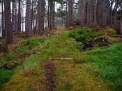 EHG5905_30.JPG