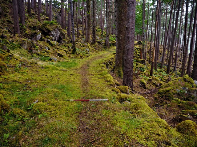 EHG5905_32.JPG