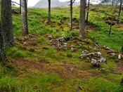 EHG5905_50.JPG