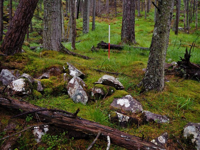 EHG5905_52.JPG