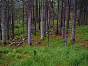 EHG5905_53.JPG