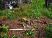 EHG5905_54.JPG