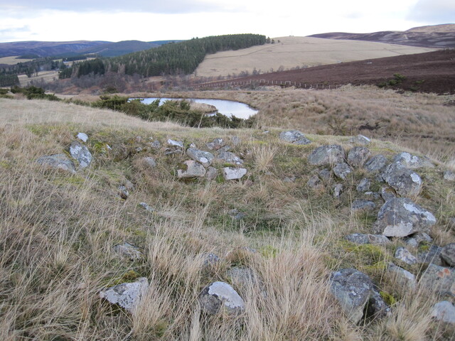 MHG43331_01.JPG