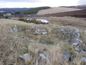 MHG43331_01.JPG